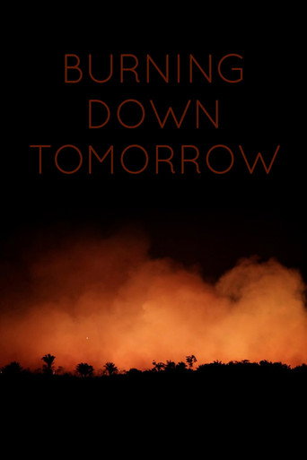 Burning Down Tomorrow movie poster