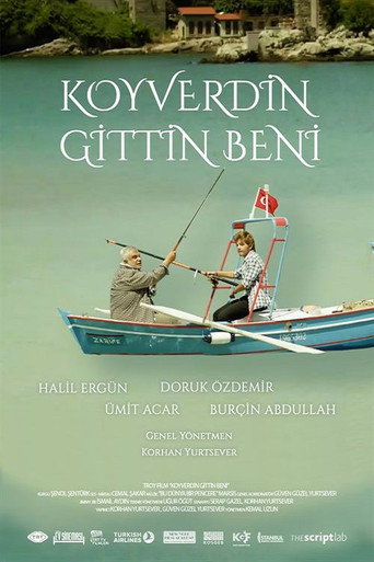 Koyverdin Gittin Beni movie poster