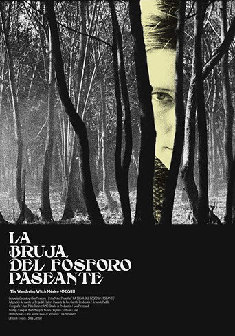 The Wandering Witch movie poster