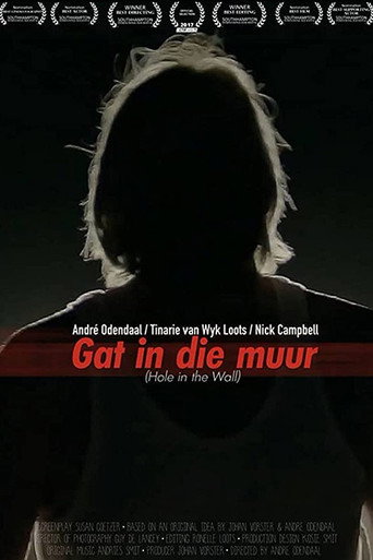 Hole In The Wall movie poster