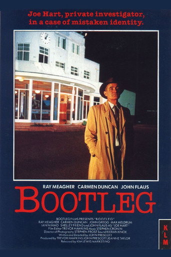 Bootleg movie poster