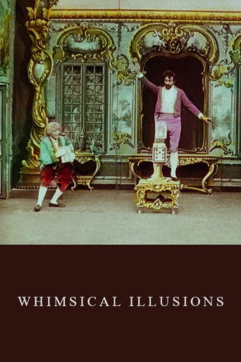 Whimsical Illusions movie poster