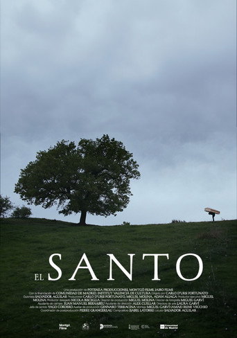 El santo movie poster