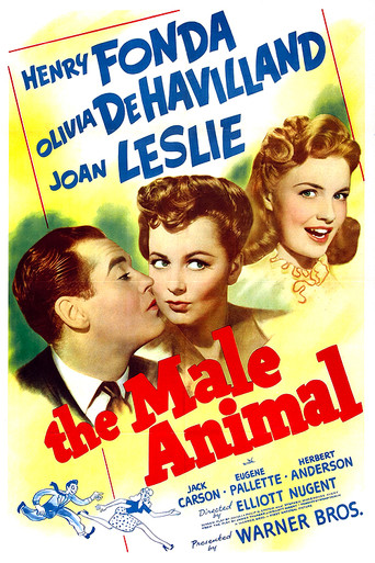 The Male Animal movie poster