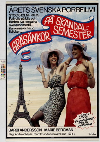 Crazy Swedish Holidays in Paris movie poster