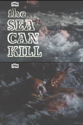 The Sea Can Kill movie poster