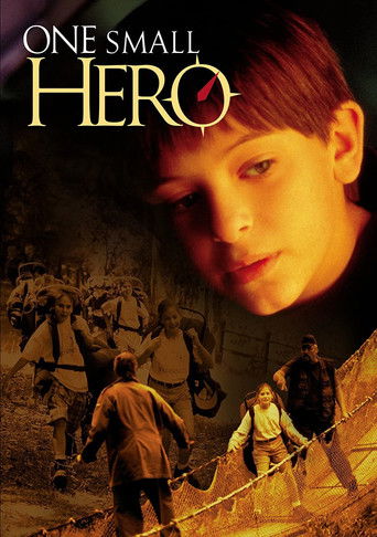 One Small Hero movie poster