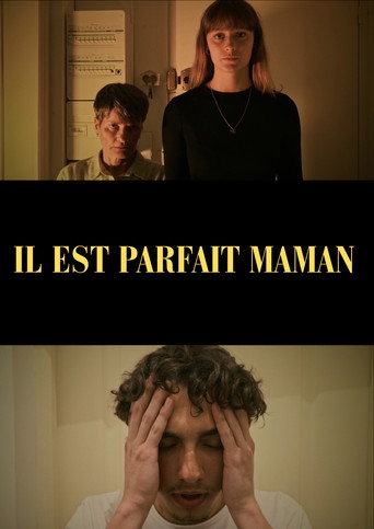 He's perfect mom movie poster