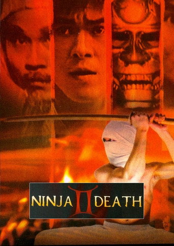 Ninja Death 2 movie poster