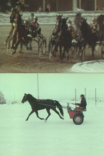 The Race movie poster