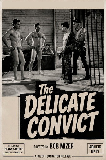 Delicate Convict movie poster