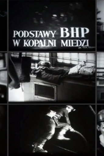 The Principles of Safety and Hygiene in a Copper Mine movie poster