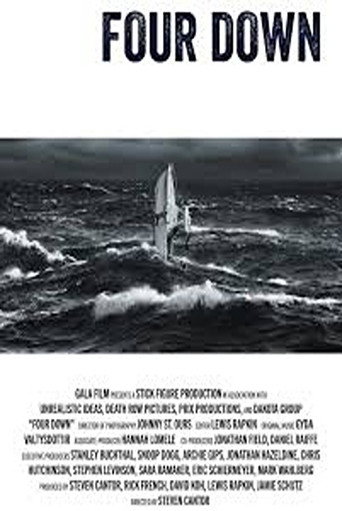 Four Down movie poster