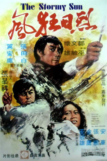 The Stormy Sun movie poster
