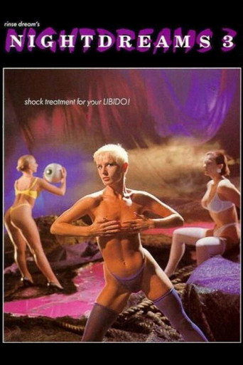 Nightdreams 3 movie poster