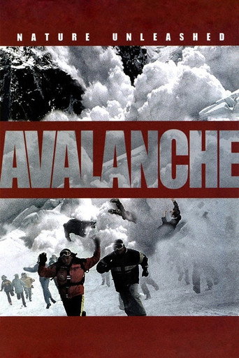 Nature Unleashed:  Avalanche movie poster