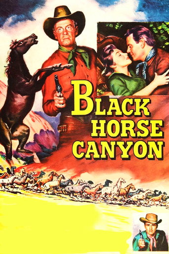 Black Horse Canyon movie poster