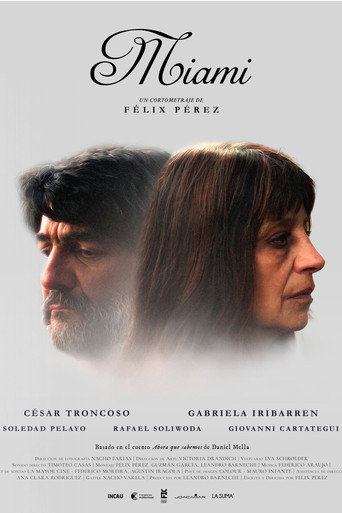 Miami movie poster