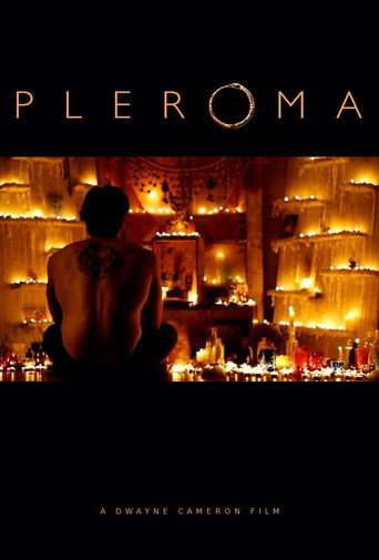 Pleroma movie poster