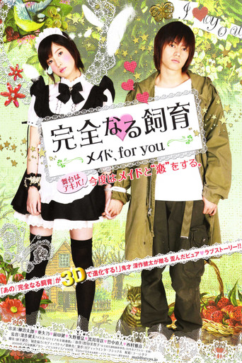 Perfect Education: A Maid for You movie poster