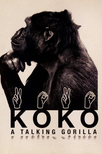 Koko: A Talking Gorilla movie poster
