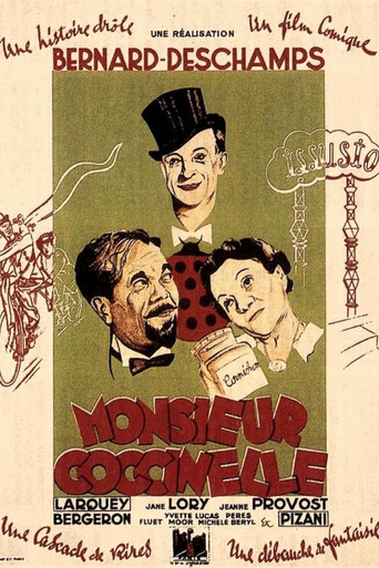 Monsieur Coccinelle movie poster