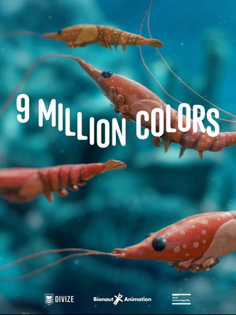 9 Million Colors movie poster
