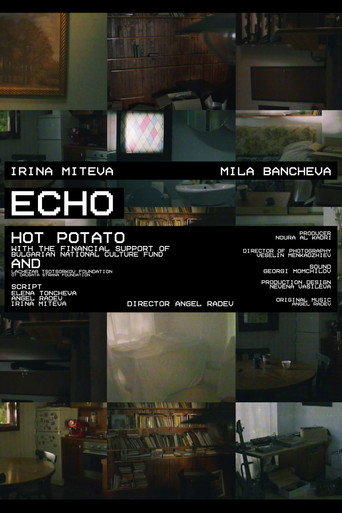 ECHO movie poster
