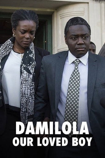 Damilola, Our Loved Boy movie poster