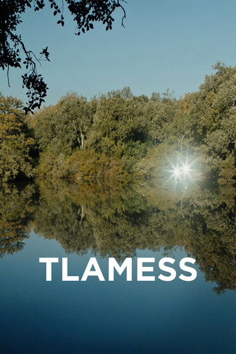 Tlamess movie poster