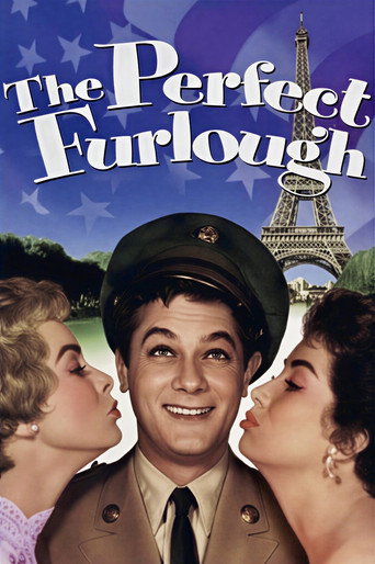 The Perfect Furlough movie poster