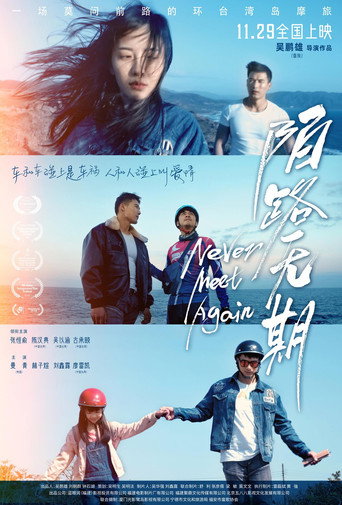 Never Meet Again movie poster