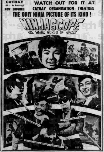 Ninjascope: The Magic World of Ninjas movie poster