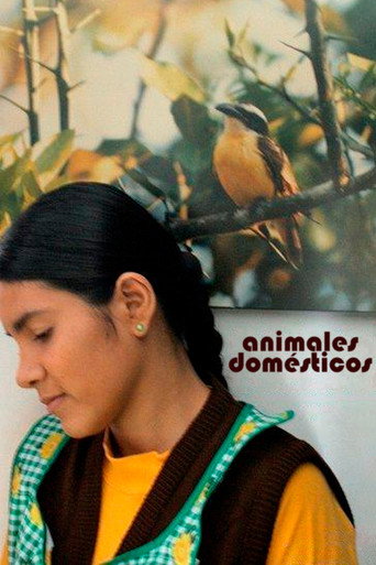 Animales Domésticos movie poster