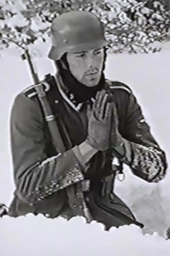 The Snow Field movie poster