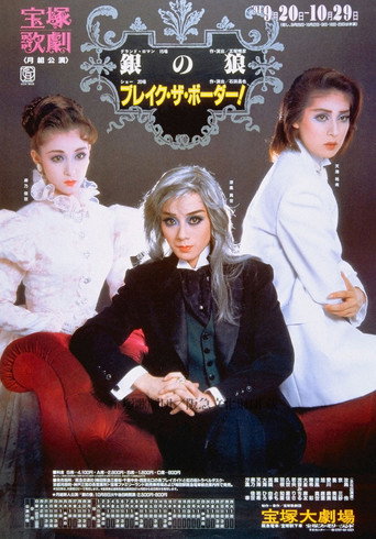 Silver Wolf /Break the Border! movie poster