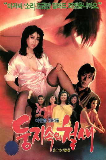 A Migrant Bird in a Nest movie poster