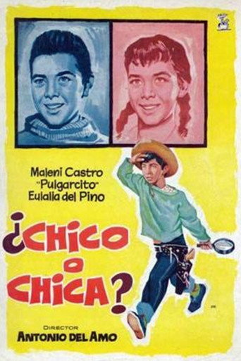 ¿Chico o chica? movie poster