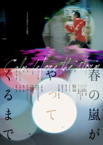 Calm Before The Storm movie poster