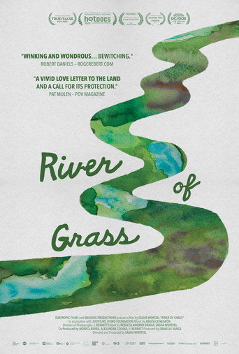 River of Grass movie poster