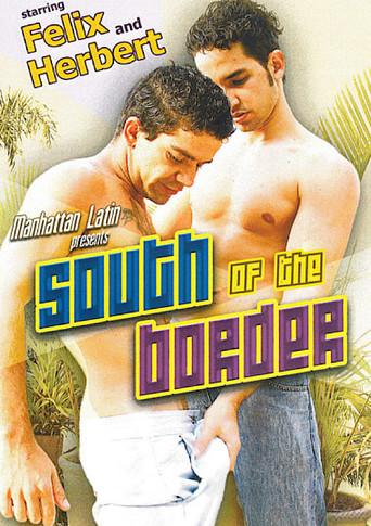 South Of The Border movie poster