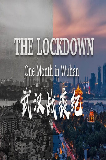 The Lockdown: One Month in Wuhan movie poster
