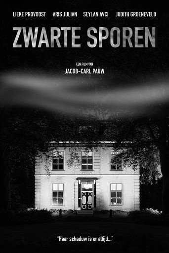 Zwarte Sporen movie poster