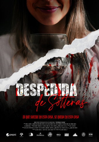 Despedida de solteras movie poster