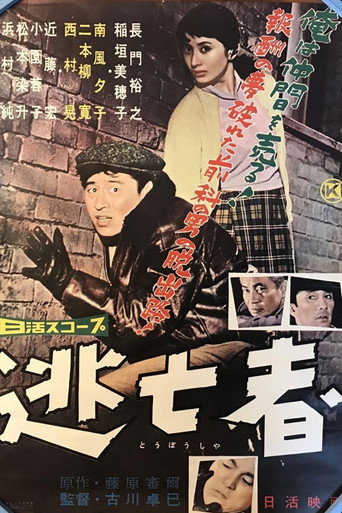 The Fugitive movie poster