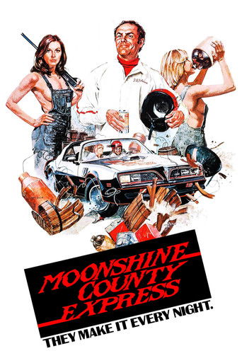 Moonshine County Express movie poster