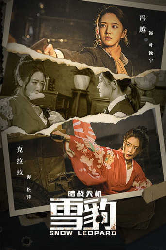 Snow Leopard Secret War movie poster