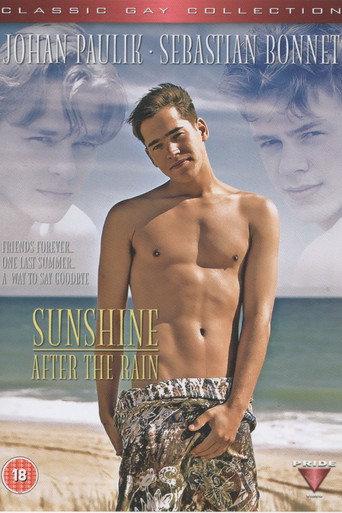 Sunshine After the Rain movie poster