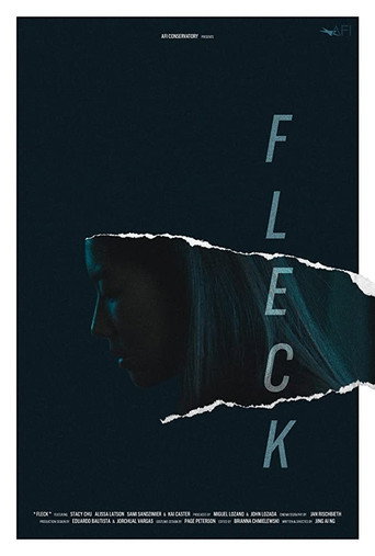 Fleck movie poster