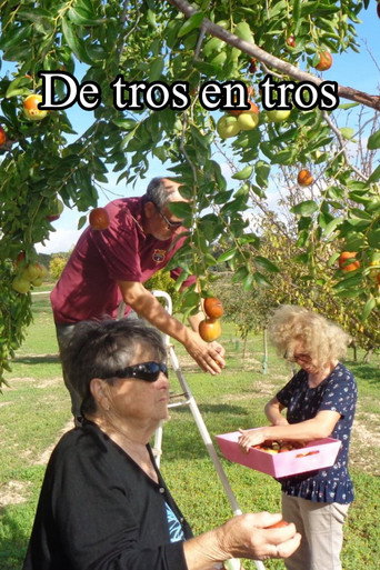 De tros en tros movie poster